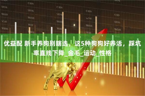 优益配 新手养狗别瞎选，这5种狗狗好养活，踩坑率直线下降_金毛_运动_性格