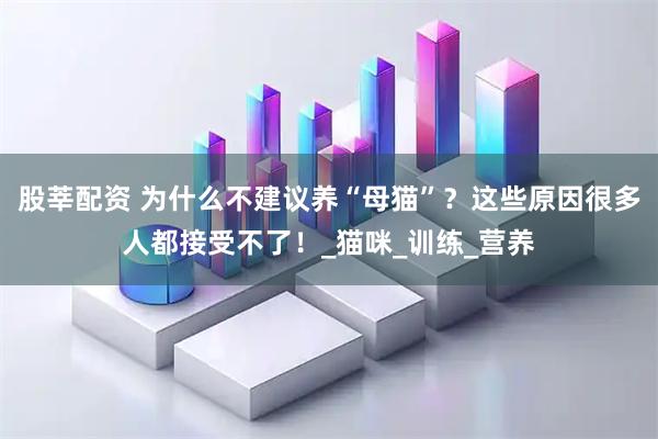 股莘配资 为什么不建议养“母猫”？这些原因很多人都接受不了！_猫咪_训练_营养