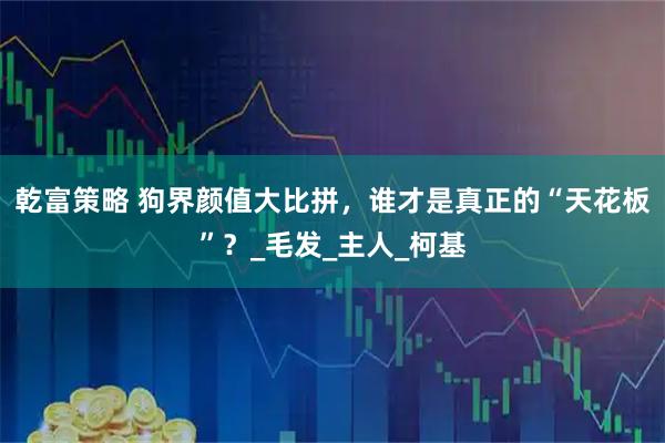 乾富策略 狗界颜值大比拼，谁才是真正的“天花板”？_毛发_主人_柯基