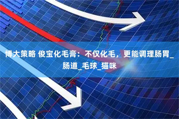 博大策略 俊宝化毛膏：不仅化毛，更能调理肠胃_肠道_毛球_猫咪