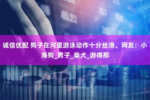 诚信优配 狗子在河里游泳动作十分丝滑。网友：小海狗_男子_柴犬_游得那